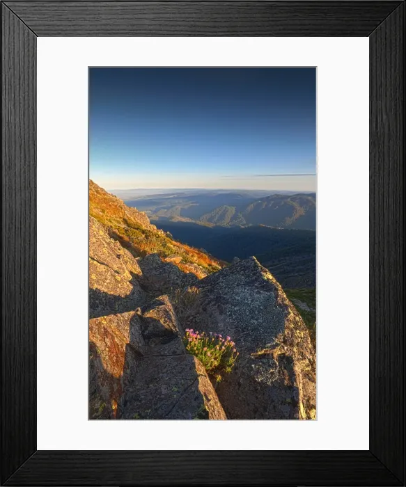 Framed Print : Dawn light near the summit of Mount Buller, in the high country of central Victoria