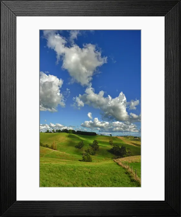 Framed Print : The rolling countryside in south Gippsland near the town of Fish Creek, Victoria Framed Print : The rolling countryside in south Gippsland near the town of Fish Creek, Victoria
