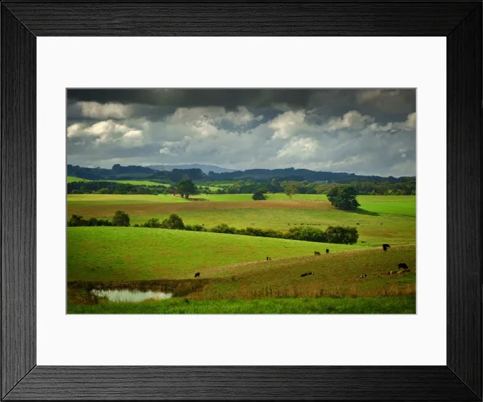 Framed Print : The rolling countryside in south Gippsland near the town of Fish Creek, Victoria Framed Print : The rolling countryside in south Gippsland near the town of Fish Creek, Victoria