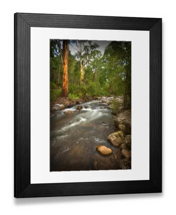 Framed Print : The Delatite river in the high country of the Victorian Alps