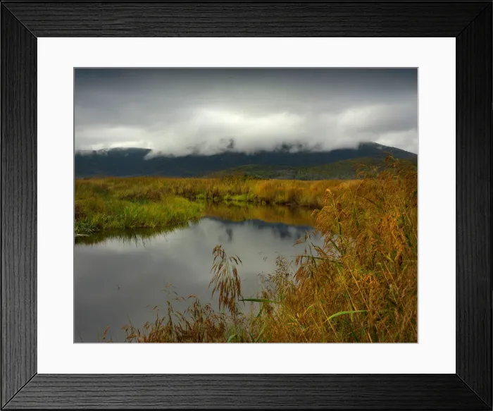 Framed Print : Derby river reflections, after rainfall, Wilsons Promontory national park, Victoria Framed Print : Derby river reflections, after rainfall, Wilsons Promontory national park, Victoria