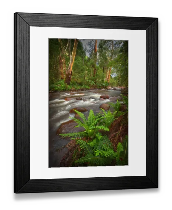 Framed Print : The Delatite river in the high country of the Victorian Alps
