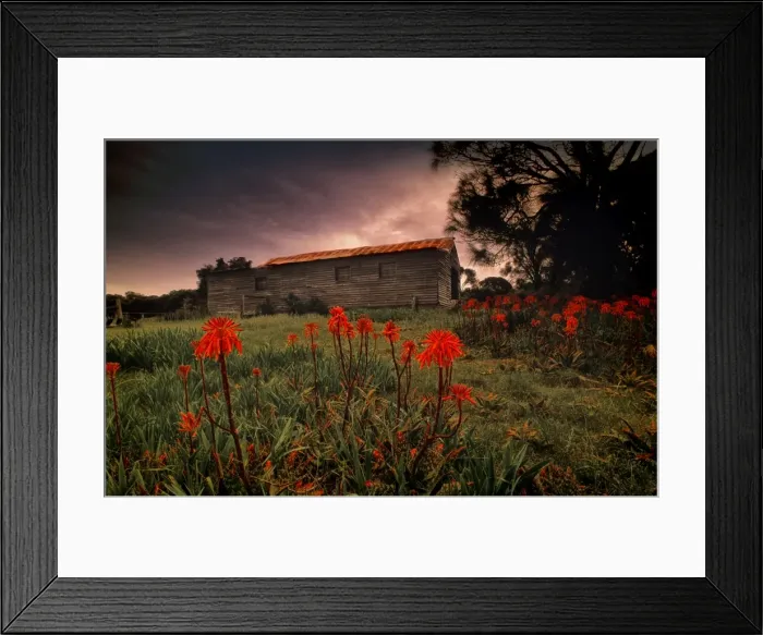 Framed Print : View of the old shearing shed in Wybalenna, Flinders Island, part of the Furneaux group, eastern Bass Strait, Tasmania Framed Print : View of the old shearing shed in Wybalenna, Flinders Island, part of the Furneaux group, eastern Bass Strait, Tasmania