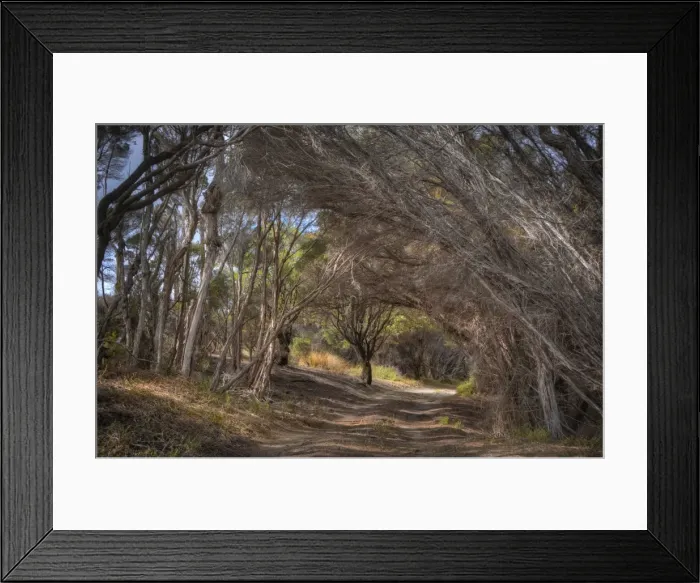 Framed Print : Sawyers Bay, Flinders Island, part of the Furneaux group, eastern Bass Strait, Tasmania Framed Print : Sawyers Bay, Flinders Island, part of the Furneaux group, eastern Bass Strait, Tasmania