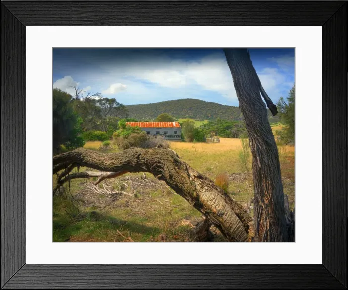 Framed Print : View to the old shearing shed, Wybalenna, Flinders Island, part of the Furneaux group, eastern Bass Strait, Tasmania