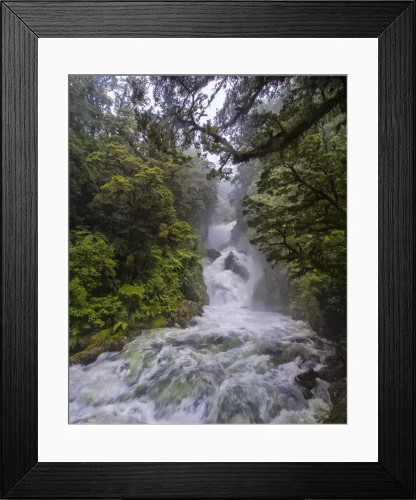 Framed Print : Mackay falls after a sudden downpour on the Milford track, Fiordland national park, south island, New Zealand Framed Print : Mackay falls after a sudden downpour on the Milford track, Fiordland national park, south island, New Zealand