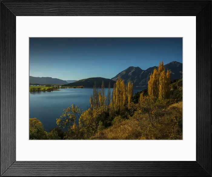 Framed Print : Lake Wanaka, in the Autumn, showing the vibrant golds and yellows of the seasonal colours, south island, New Zealand Framed Print : Lake Wanaka, in the Autumn, showing the vibrant golds and yellows of the seasonal colours, south island, New Zealand