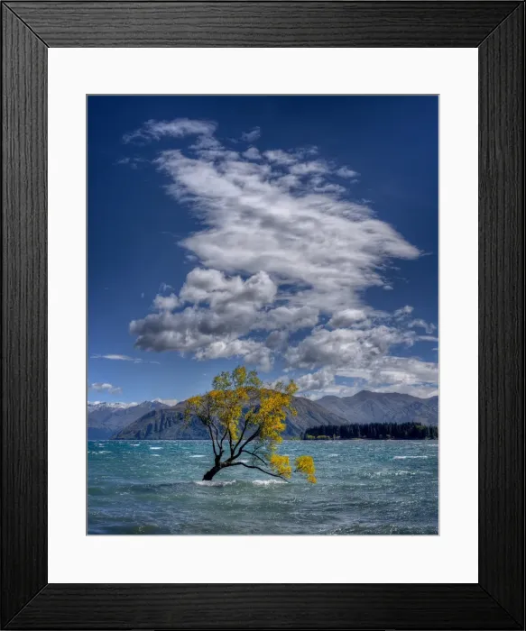 Framed Print : Lake Wanaka, in the Autumn, showing the vibrant golds and yellows of the seasonal colours, south island, New Zealand Framed Print : Lake Wanaka, in the Autumn, showing the vibrant golds and yellows of the seasonal colours, south island, New Zealand