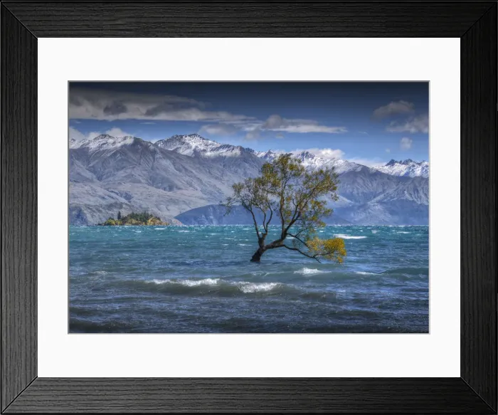 Framed Print : Lake Wanaka, in the Autumn, showing the vibrant golds and yellows of the seasonal colours, south island, New Zealand