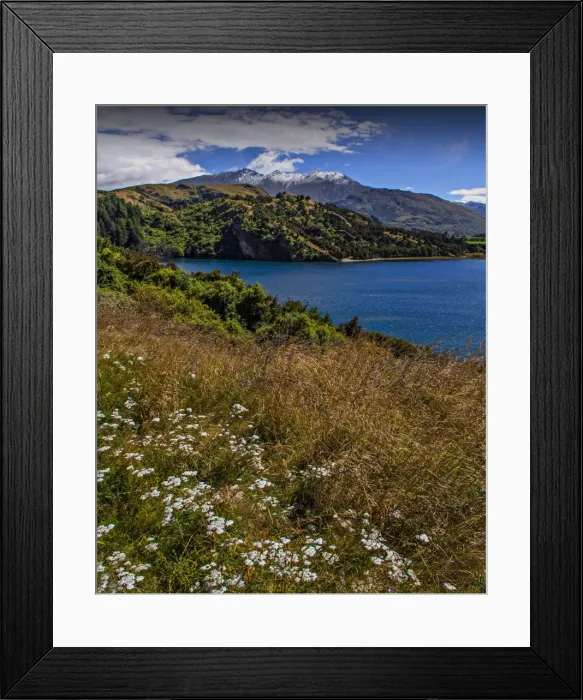 Framed Print : Lake Wanaka, in the Autumn, showing the vibrant golds and yellows of the seasonal colours, south island, New Zealand Framed Print : Lake Wanaka, in the Autumn, showing the vibrant golds and yellows of the seasonal colours, south island, New Zealand