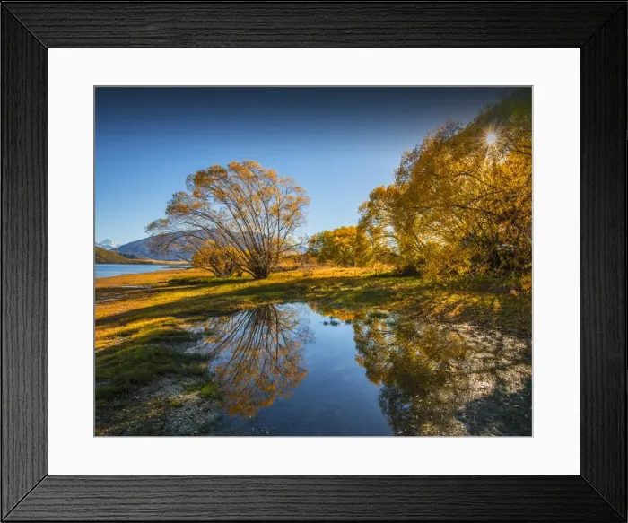Framed Print : Lake Wanaka, in the Autumn, showing the vibrant golds and yellows of the seasonal colours, south island, New Zealand