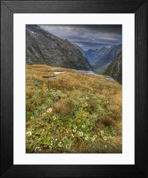 Framed Print : The view at Mackinnon Pass, high up in the mountainous region of the Fiordland National Park, Southland, south island, New Zealand Framed Print : The view at Mackinnon Pass, high up in the mountainous region of the Fiordland National Park, Southland, south island, New Zealand