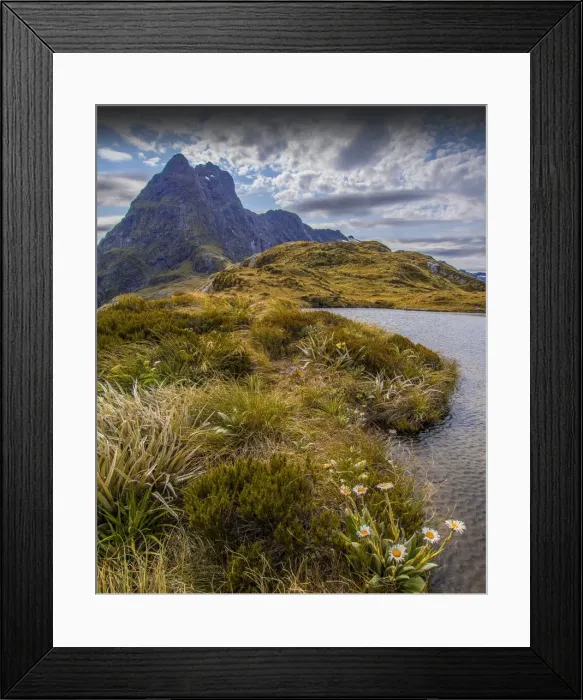 Framed Print : The view at Mackinnon Pass, high up in the mountainous region of the Fiordland National Park, Southland, south island, New Zealand Framed Print : The view at Mackinnon Pass, high up in the mountainous region of the Fiordland National Park, Southland, south island, New Zealand