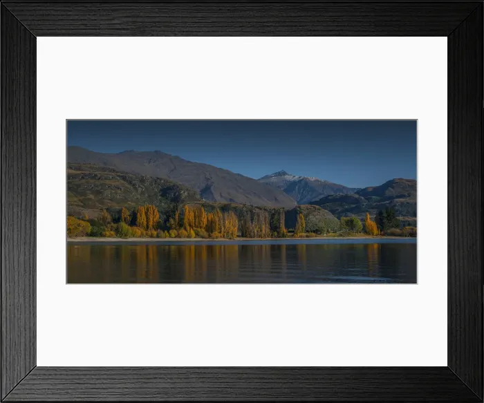 Framed Print : Lake Wanaka, in the Autumn, showing the vibrant golds and yellows of the seasonal colours, south island, New Zealand