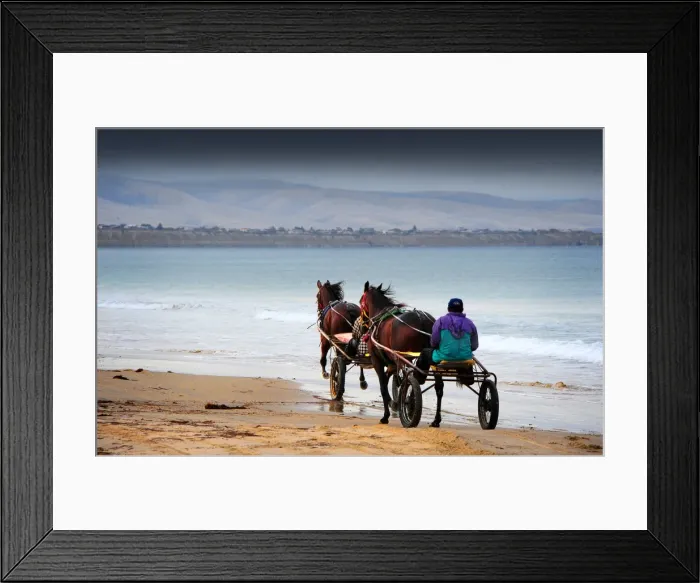 Framed Print : Harness training in the first light of dawn at Moana beach, Adelaide, South Australia Framed Print : Harness training in the first light of dawn at Moana beach, Adelaide, South Australia