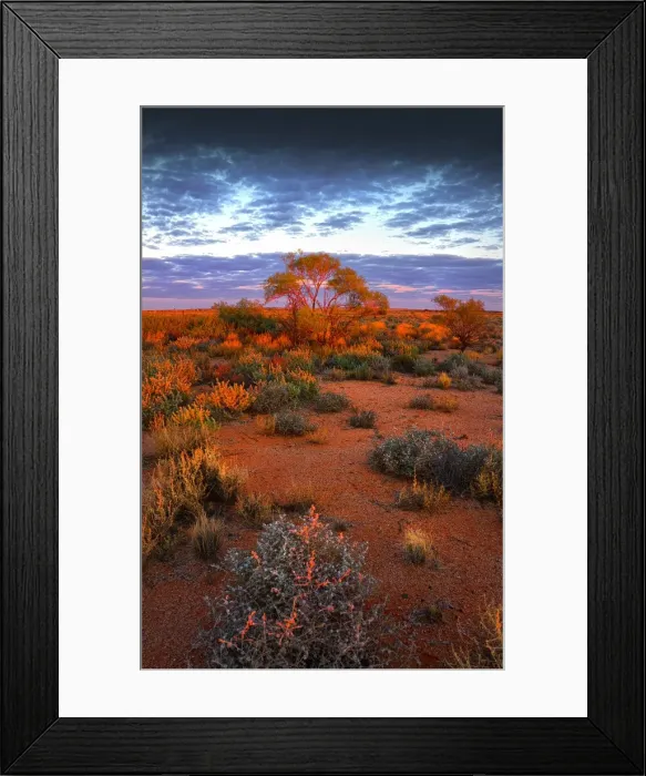 Framed Print : A desert dawn, with vibrant reddish colours, at William Creek, remote outback South Australia