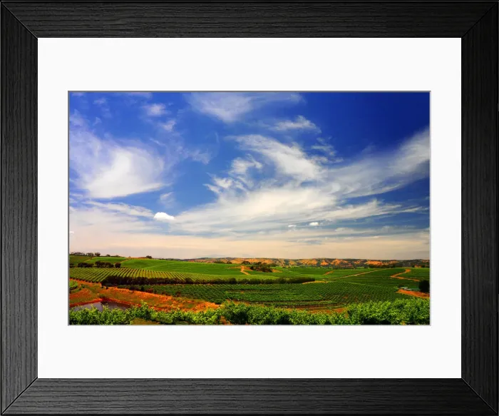 Framed Print : Clouds forming over the vineyards at McClarenvale, Fleurieu Peninsula, near Adelaide, South Australia