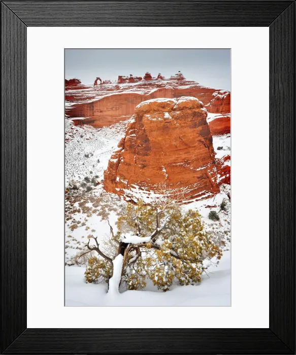 Framed Print : A winter scene in Arches national Park, Moab, Utah, USA Framed Print : A winter scene in Arches national Park, Moab, Utah, USA