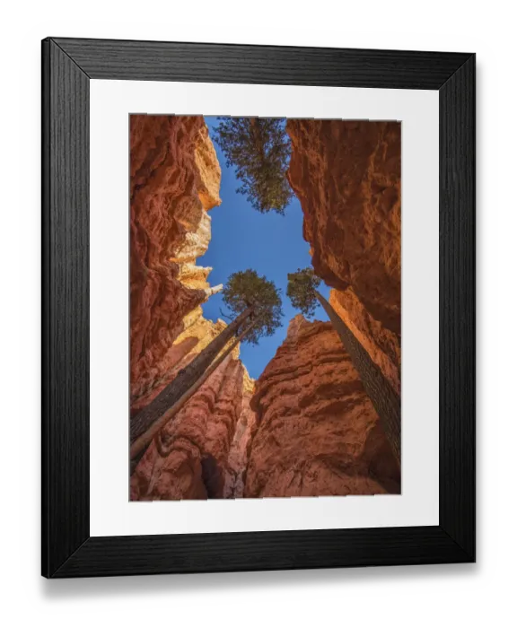 Framed Print : A scenic view at Bryce Canyon national park, Utah, USA