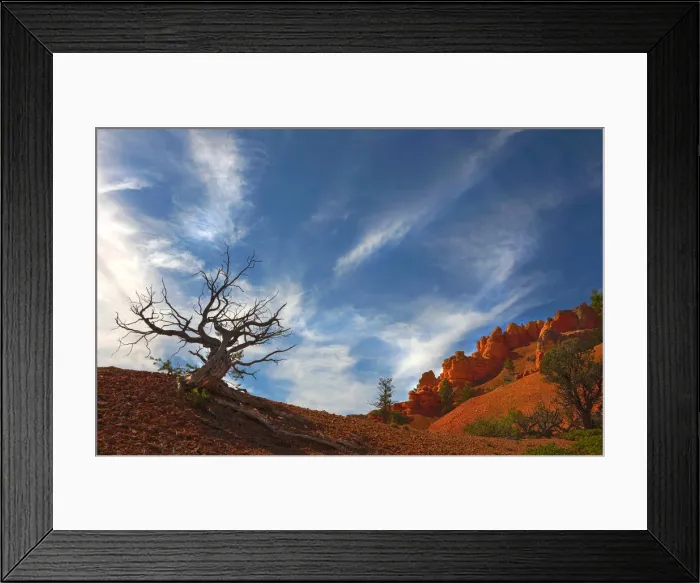Framed Print : Red Canyon, near the Bryce Canyon national park, Utah, USA Framed Print : Red Canyon, near the Bryce Canyon national park, Utah, USA