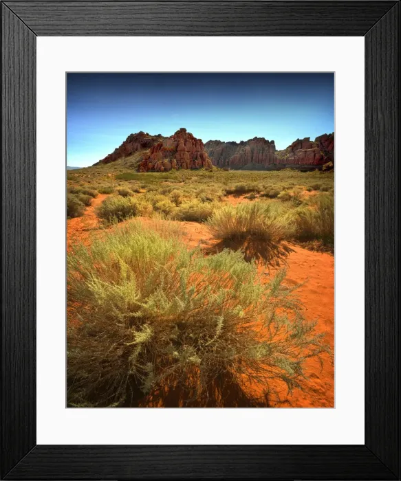 Framed Print : View in the valley floor of Snow Canyon state park, Ivins, St. George, Utah, USA