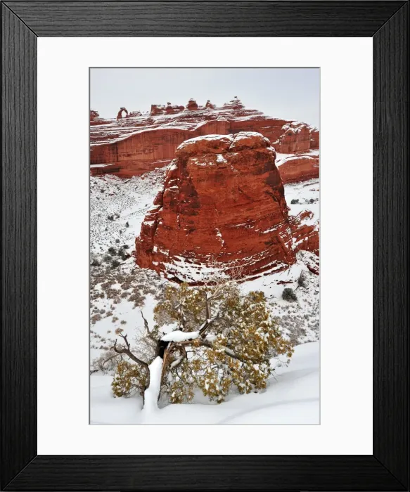 Framed Print : A winter scene in Arches national Park, Moab, Utah, USA Framed Print : A winter scene in Arches national Park, Moab, Utah, USA