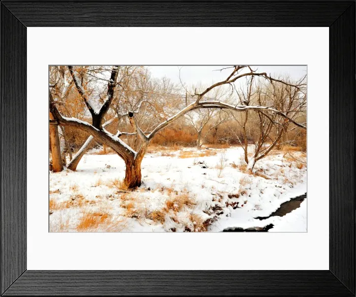 Framed Print : Mill creek in Moab, with a winter fall of snow, Utah, United States Framed Print : Mill creek in Moab, with a winter fall of snow, Utah, United States