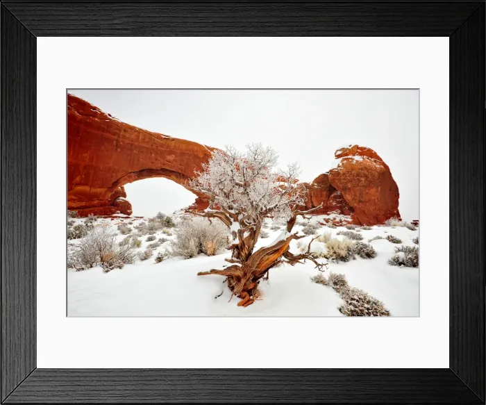 Framed Print : A winter scene in Arches national Park, Moab, Utah, USA Framed Print : A winter scene in Arches national Park, Moab, Utah, USA