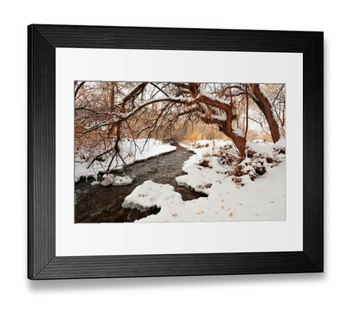 Framed Print : Mill creek in Moab, with a winter fall of snow, Utah, United States