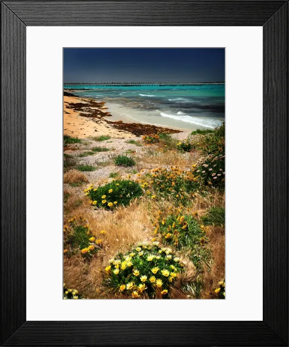 Framed Print : Coastal view at Beachport, A small fishing community in South Australia Framed Print : Coastal view at Beachport, A small fishing community in South Australia