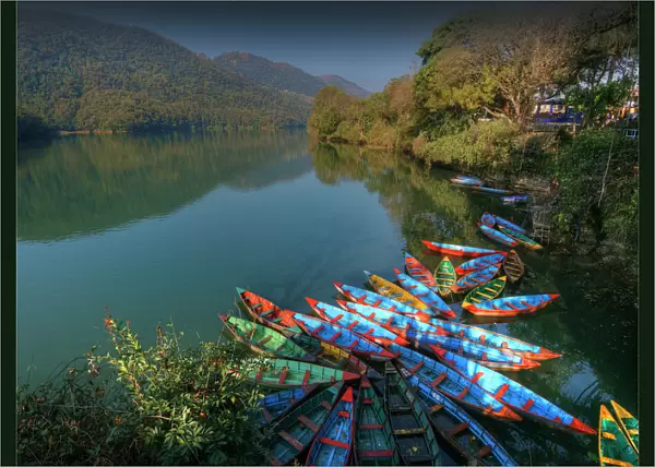 Colourful hire boats tied up on the shoreline of Lake Pokhara, Nepal