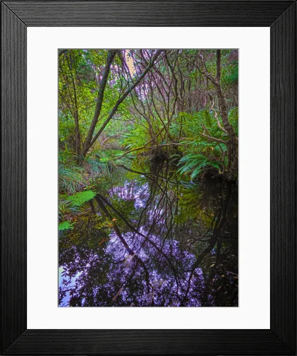 Framed Print : Reflections in Parer creek, Grassy, King Island, Bass Strait, Tasmania, Australia