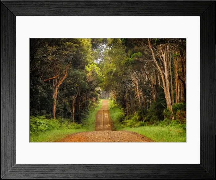 Framed Print : A gravelled rural road into farmland, King Island, Bass Strait, Tasmania, Australia Framed Print : A gravelled rural road into farmland, King Island, Bass Strait, Tasmania, Australia
