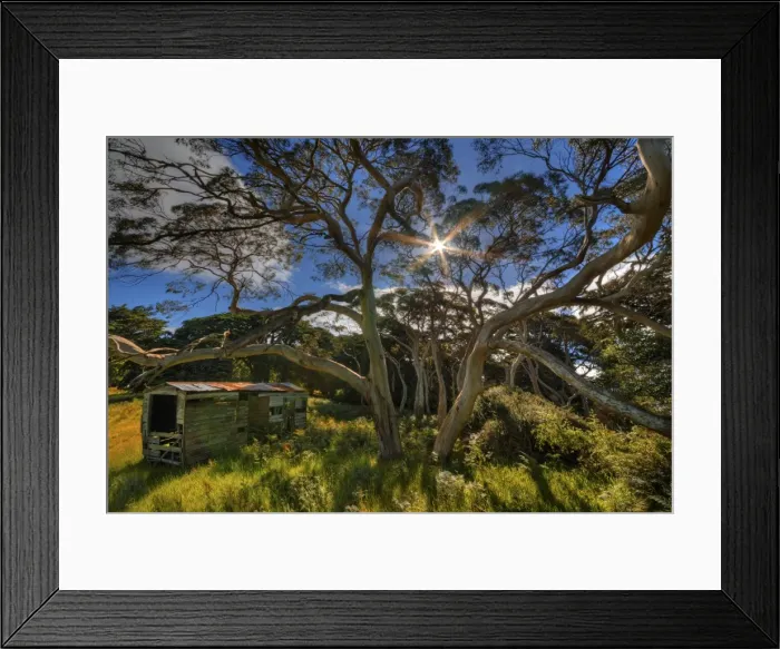 Framed Print : Old Shed in a bushland setting on King Island, Bass Strait, Tasmania, Australia