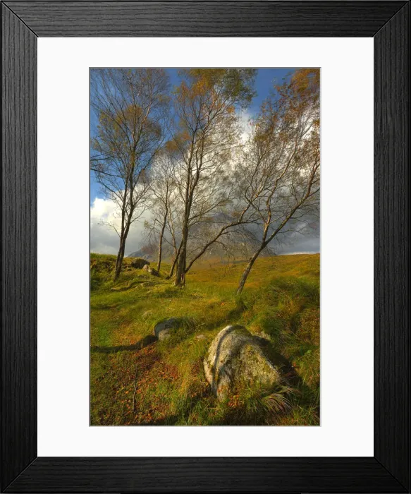 Framed Print : Looking at Buachaille Etive Mor through a row of trees, highlands of Scotland Framed Print : Looking at Buachaille Etive Mor through a row of trees, highlands of Scotland