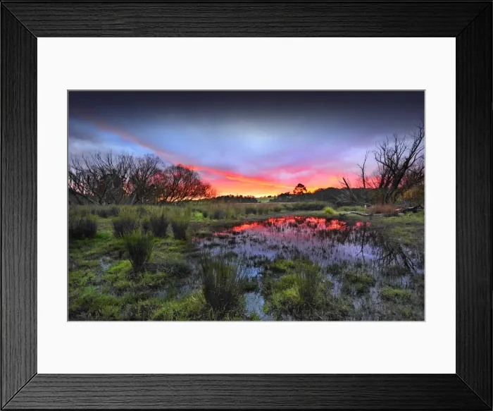 Framed Print : Countryside dawn near Greta West, Victoria