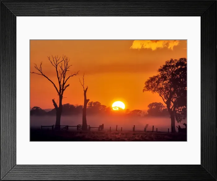 Framed Print : A misty dawn in the rural area of Carrum downs, Victoria, Australia