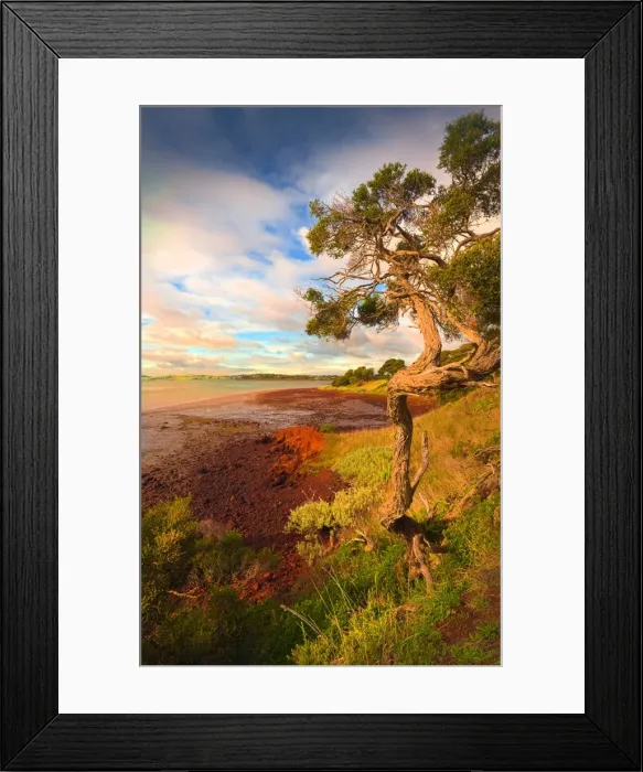 Framed Print : Churchill Island, is a small islet just offshore Phillip Island, in Western-port bay, Victoria, Australia Framed Print : Churchill Island, is a small islet just offshore Phillip Island, in Western-port bay, Victoria, Australia