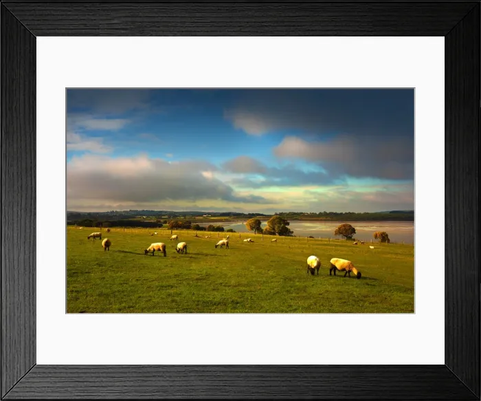 Framed Print : Churchill Island, is a small islet just offshore Phillip Island, in Western-port bay, Victoria, Australia