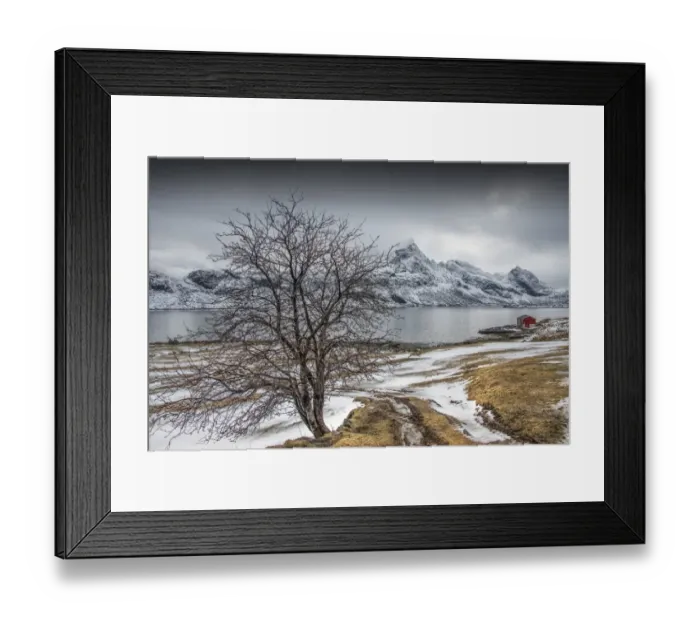 Framed Print : A winter scene, Lofoten peninsular, Arctic circle, Norway Framed Print : A winter scene, Lofoten peninsular, Arctic circle, Norway