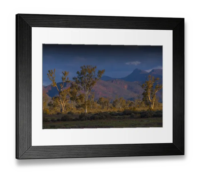 Framed Print : Afternoon light sweeps across the countryside with a view of the distant mountains of the Flinders Ranges national park, South Australia Framed Print : Afternoon light sweeps across the countryside with a view of the distant mountains of the Flinders Ranges national park, South Australia
