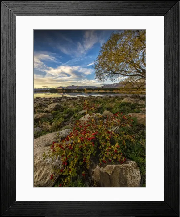 Framed Print : Lake Tekapo, Canterbury plains, south island, New Zealand Framed Print : Lake Tekapo, Canterbury plains, south island, New Zealand