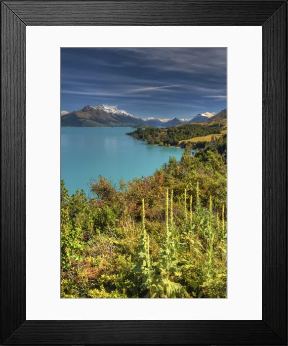 Framed Print : Beautiful lake Wakitipu, Otago, during the autumn season, south island, New Zealand Framed Print : Beautiful lake Wakitipu, Otago, during the autumn season, south island, New Zealand