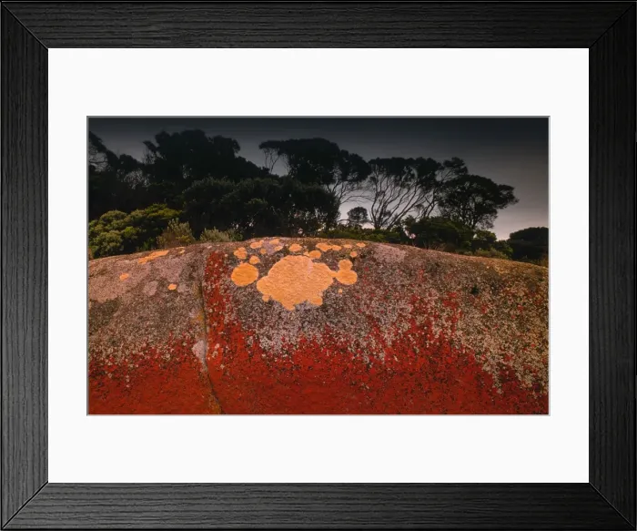Framed Print : Red coloured boulders, caused by lichen growing at the high tide mark on Flinders Island, Bass Strait, Tasmania, Australia