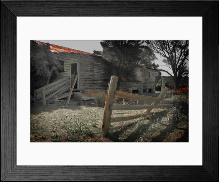 Framed Print : The old and historic shearing shed at Wybalena on Flinders Island, Bass Strait, Tasmania, Australia