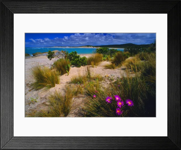Framed Print : A view at north east point on Flinders Island, Bass Strait, Tasmania, Australia Framed Print : A view at north east point on Flinders Island, Bass Strait, Tasmania, Australia