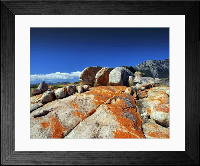 Framed Print : Red coloured boulders, caused by lichen growing at the high tide mark on Flinders Island, Bass Strait, Tasmania, Australia Framed Print : Red coloured boulders, caused by lichen growing at the high tide mark on Flinders Island, Bass Strait, Tasmania, Australia
