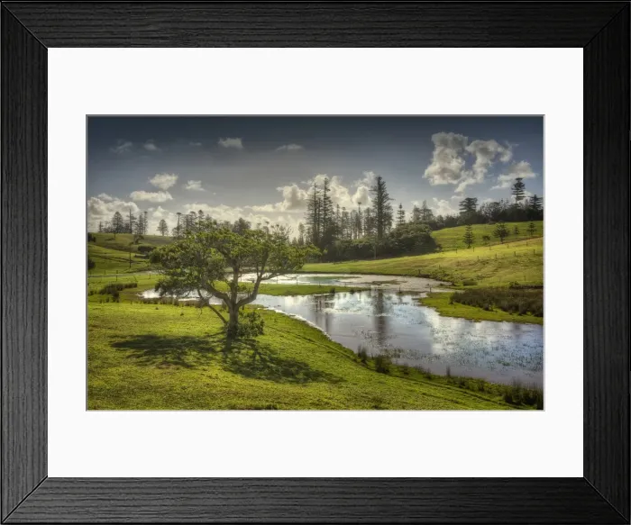 Framed Print : Wetlands in the Mission valley, Norfolk Island, South Pacific