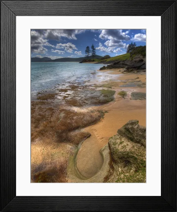 Framed Print : Foreshore near Capella South, Lord howe Island, New south Wales, Australia Framed Print : Foreshore near Capella South, Lord howe Island, New south Wales, Australia