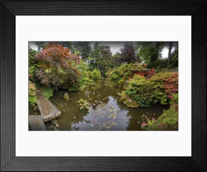 Framed Print : Japanese Gardens, Poole, England Framed Print : Japanese Gardens, Poole, England